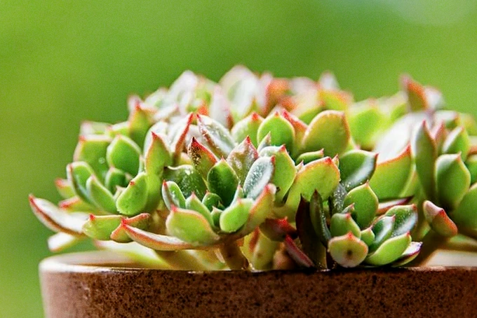 精进路上的30句励志话：沉淀自己，静待花开